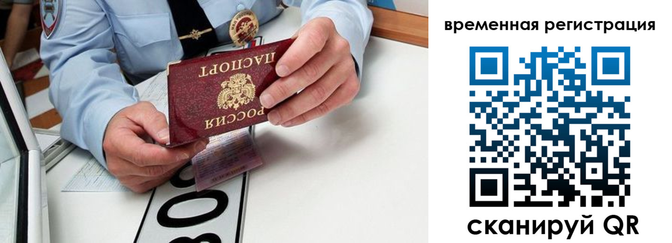 прописка гарантия в Липецкая области